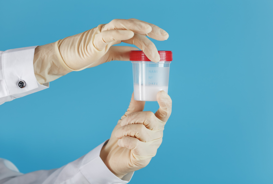 Semen vs. Esperma: ¿Cómo diferenciar uno del otro?