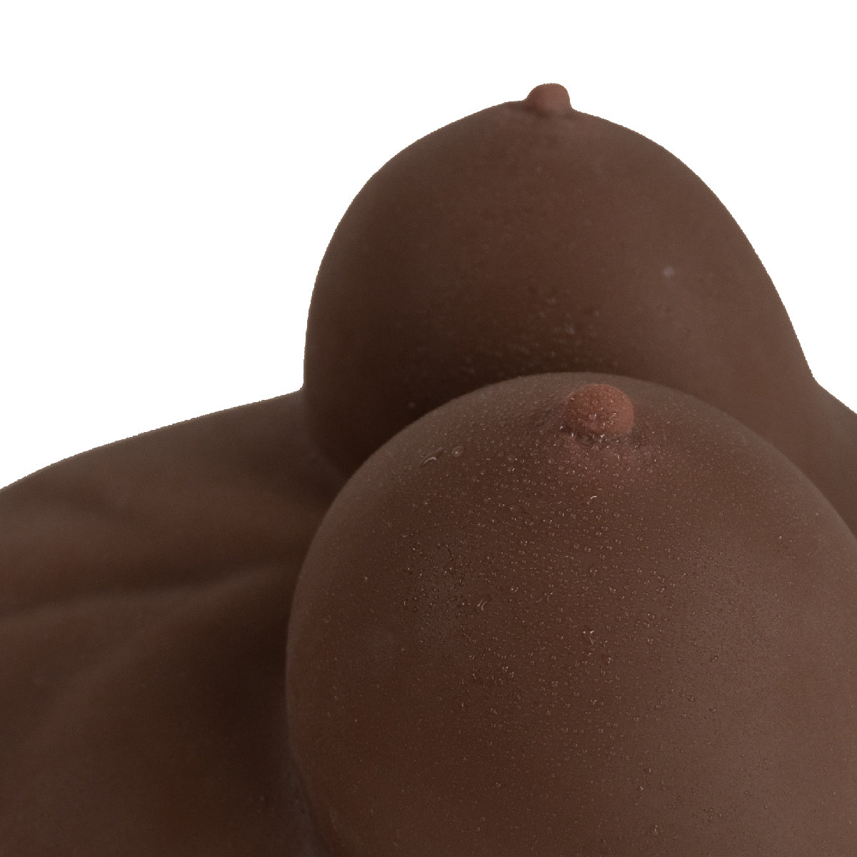 Raw Torso Transexual Rupol