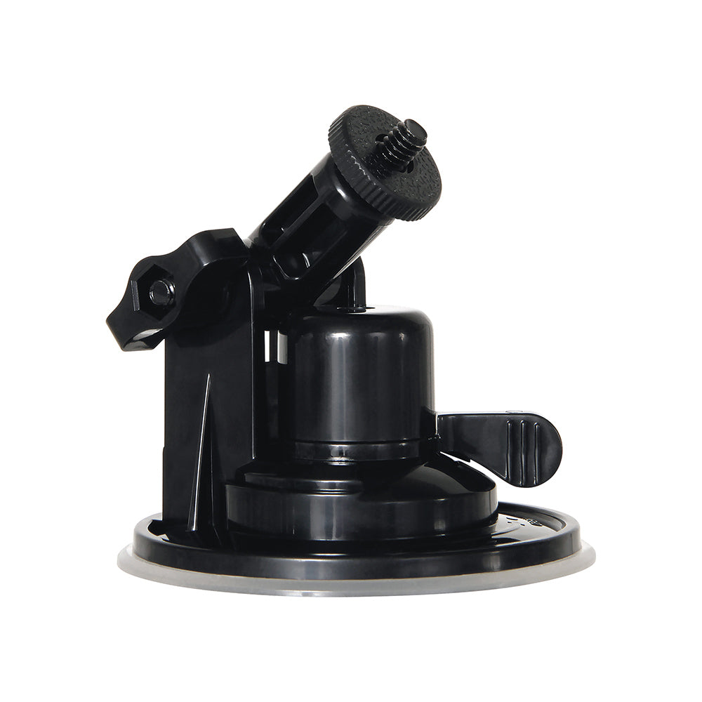 Bomba Mensaje Embotellado Gender X