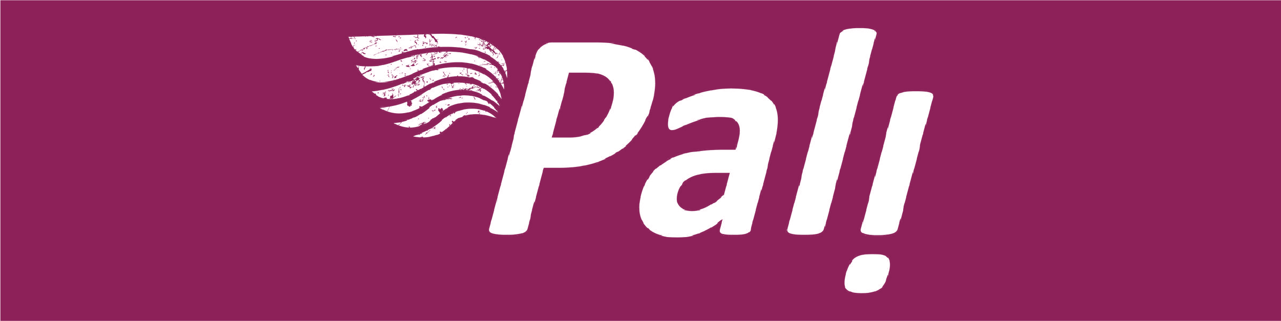 Lencería Masculina Pali Bali Sex Store