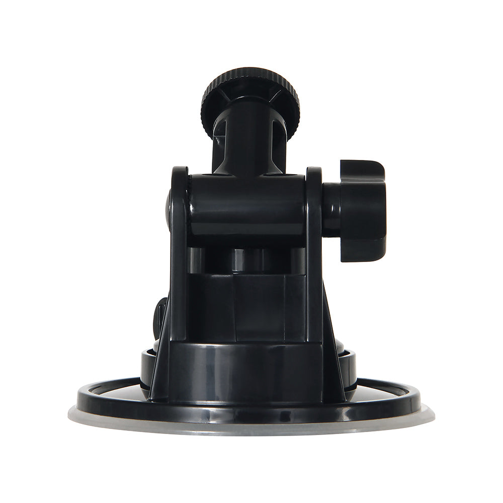 Bomba Mensaje Embotellado Gender X