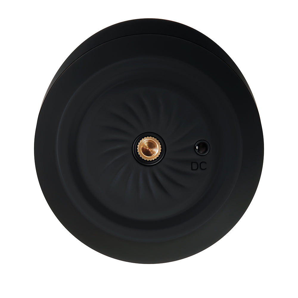 Bomba Mensaje Embotellado Gender X